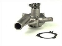 Thermotec Wasserpumpe Mechanisch FüR Ford Escort V Turnier ANL GAL Fiesta III