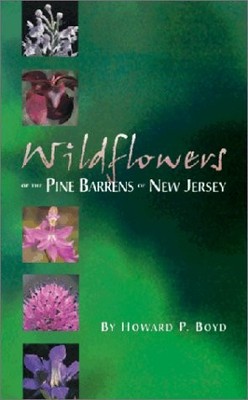 WILDFLOWERS OF THE PINE BARRENS OF NEW JERSEY By Howard P. Boyd **Excellent**
