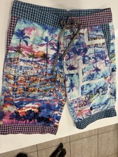 Robert Graham Swim Suit Adult 32 Multicolor Trunks Board Beach Lined Mens