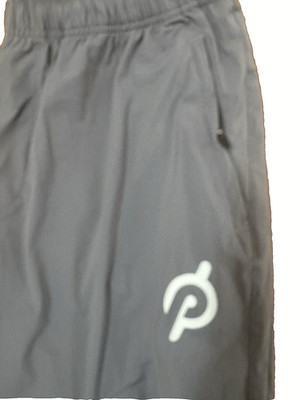 4 Laps x Peloton Joggers Mens L Gray Zipper Ankles Athletic Wear Fourlaps Re-Up