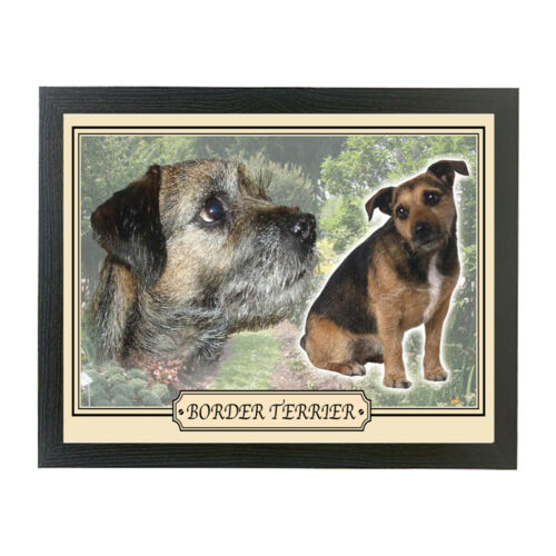 Auswahl Hunderasse Kissen Laptop Runde Abendessen Tablett Geschenk Jack Russell Labrador - Bild 21 von 116