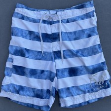 American Eagle Outfitters Mens Size L Striped Board Shorts Swim Trunks