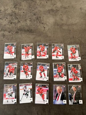 DEL Trading Cards Augsburger Panther Playercards Eishockey Top Zustand 2025-2026