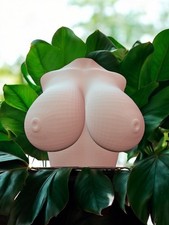 Stampi in silicone anatomico intimo: kit fai da te per saponi, candele a tema adulto 