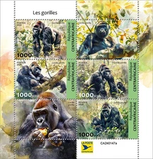 Gorillas