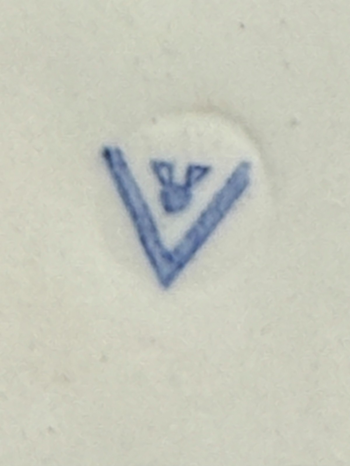 Picture 6 of 14