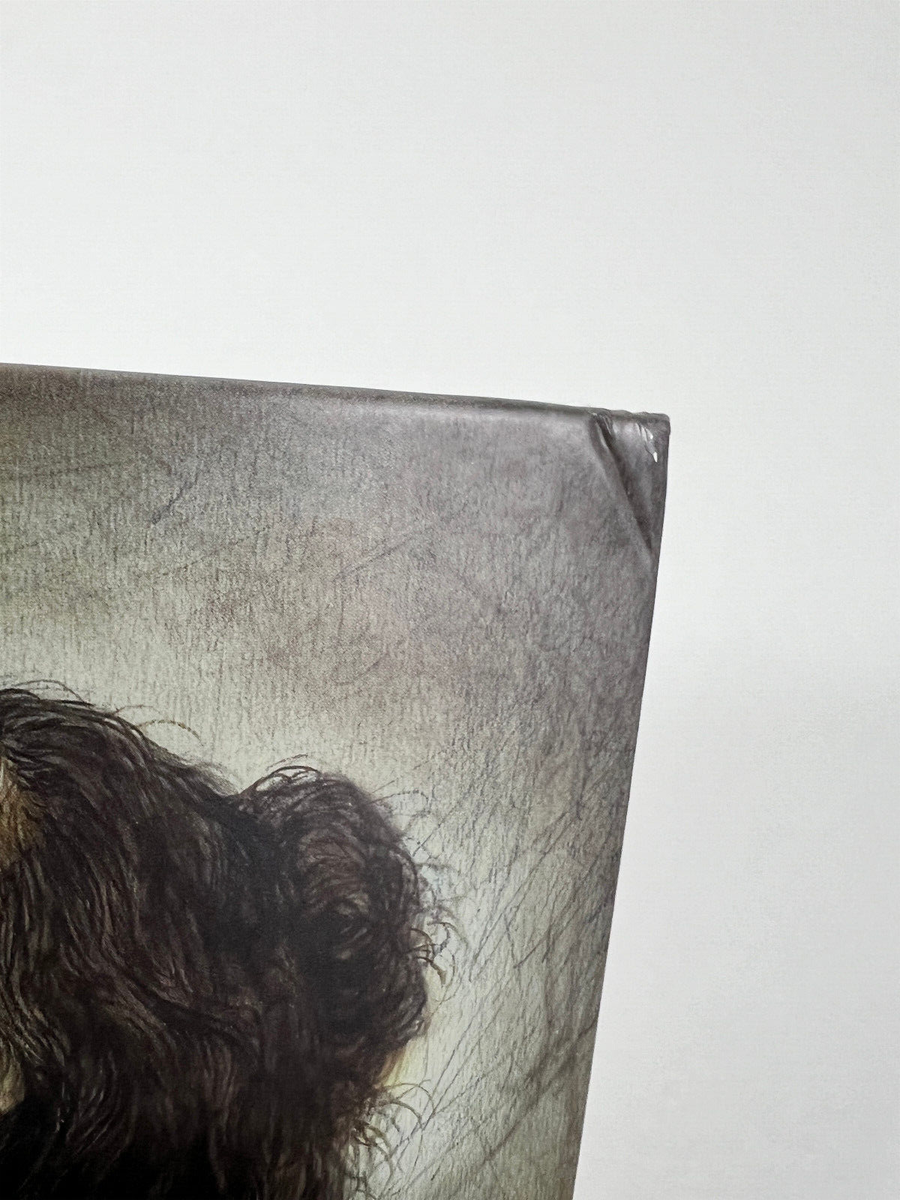 Luis Royo Conceptions by Luis Royo (2014, Hardcover) for sale