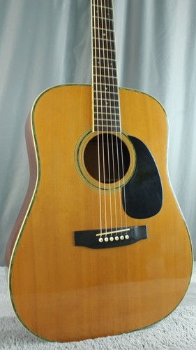 TF Morris Custom W-50 Japan Acoustic