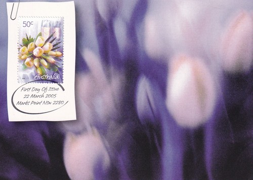 AUSTRALIA 2005 NINE FIRST DAY COVERS ON MAXI CARDS, SYDNEY OPERA HOUSE, KOALA - Picture 5 of 9