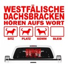 Bild 4 von 18
