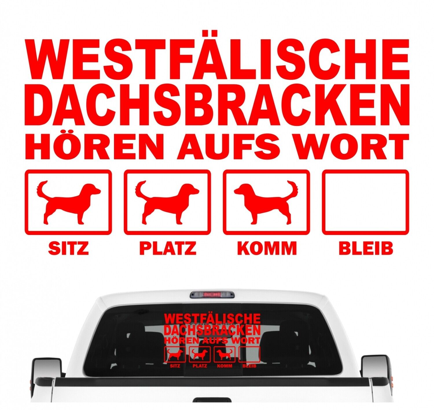 Bild 4 von 18