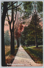 Postcard Residence Street Sidewalk Portland Oregon Trees Unposted