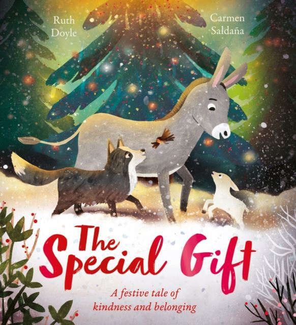 The Special Gift by Ruth Doyle Hardback
