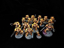 Warhammer 40K Astartes Space Marines Imperial Fists Studio Pro Painted Army
