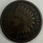 1891 Indian Head Cent Exact Coin Imaged #IND1238