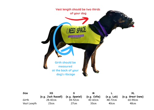 Chaleco para perro amarillo Reino Unido "necesito espacio" para perros nerviosos ansiosos que necesitan espacio - Imagen 25 de 53