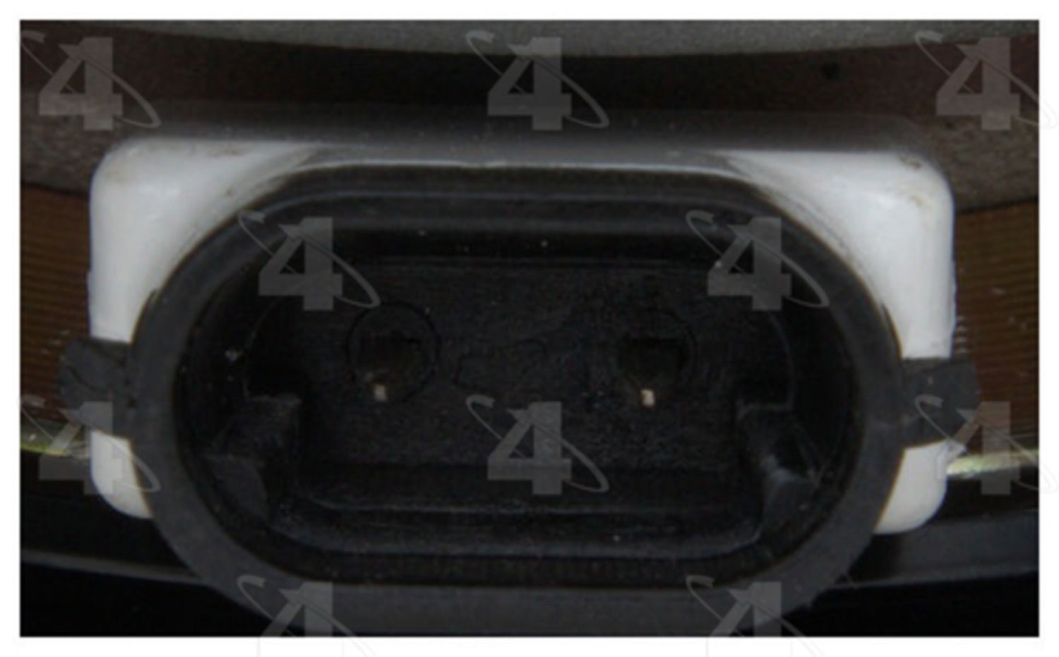 Picture 4