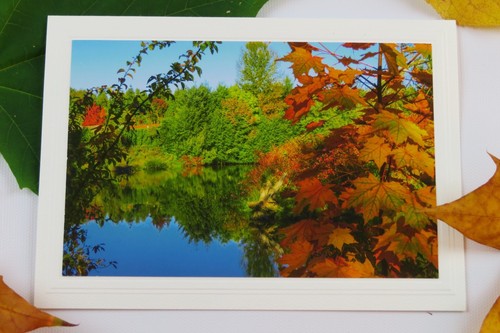 4 FALL FOLIAGE Blank Photo Greeting Cards, 5X7, Perfect gift! - Picture 3 of 7