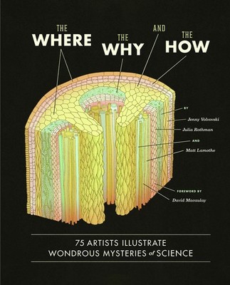 The Where, the Why, and the How: 75 Artists Illustrate Wondrous Mysteries of...