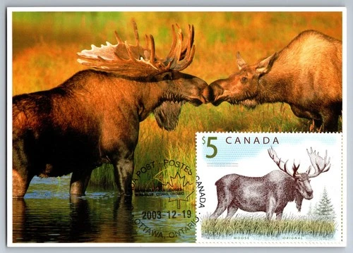 Canada 2003 Canadian Wildlife $5 Moose FDC Maxi Card