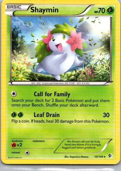 Shaymin #10 (Boundaries Crossed (2012))