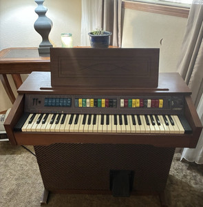 Organ | eBay