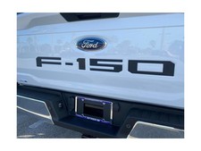 Eurosport Daytona- Compatible with 2021-Current, Ford F150 Standard Tailgate ...