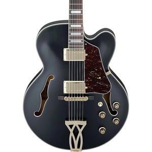 Ibanez Artcore Af105 | eBay