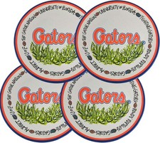 University of Florida Gators 10.5-Inch Melamine Dinner Plate Set of 4 Perfect...
