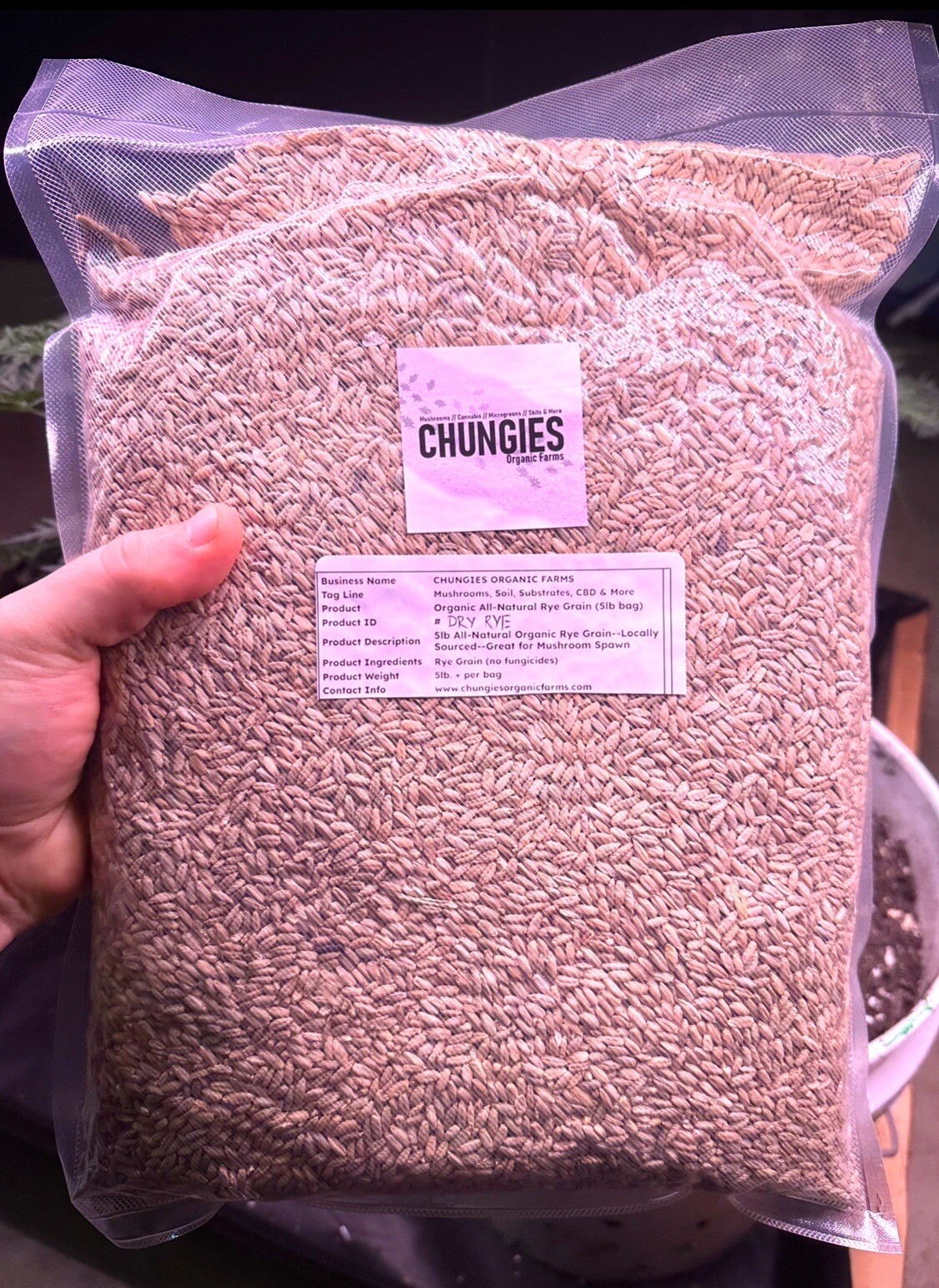 10lb Rye Grain Deluxe Organic Rye Berries Mushroom Rye Brewers