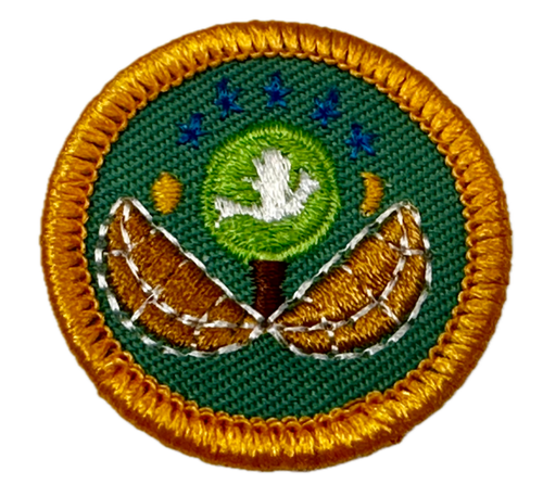 Girl Scout Junior WORLD Of OUTDOORS DABBLER BADGE Camping Hiking Exploring Patch