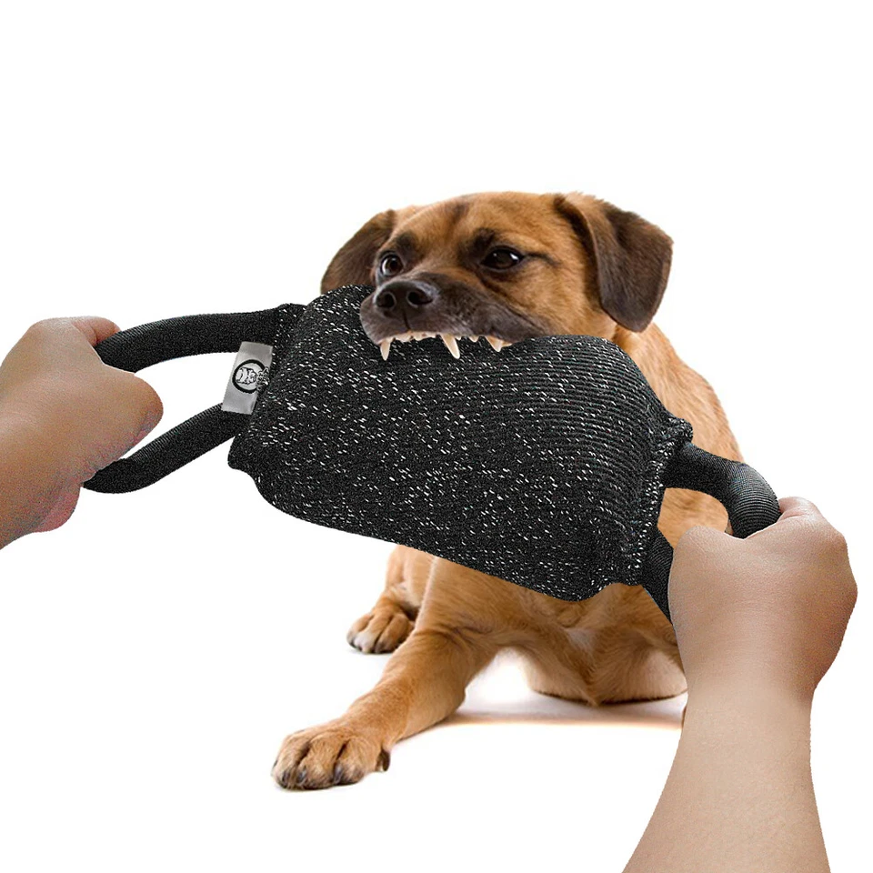 Hundeausbildung Beisskissen Hundetraining Hundesport für Junghund Polizeihund - Bild 4 von 4