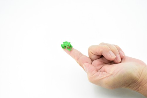 Mini Realistic Green Tree Frog Plastic Toy Small Figure Model Kids 1" F4077 - Picture 2 of 7