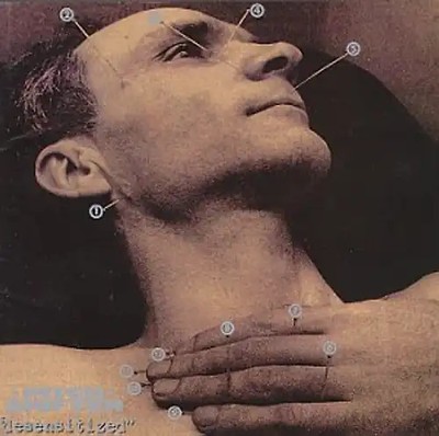Pitchshifter - Desensitized *** WIE NEU ***
