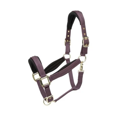Shires ARMA gepolstertes Kopfband - Black Cherry