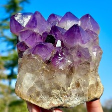 3,61 libbre ametista naturale a grappolo cristallo di quarzo spina dorsale esemplare minerale guarigione