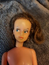 Tressy Doll From 1960s