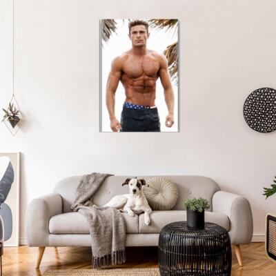 65124 New Zac Efron Wall Decor Print Poster | eBay