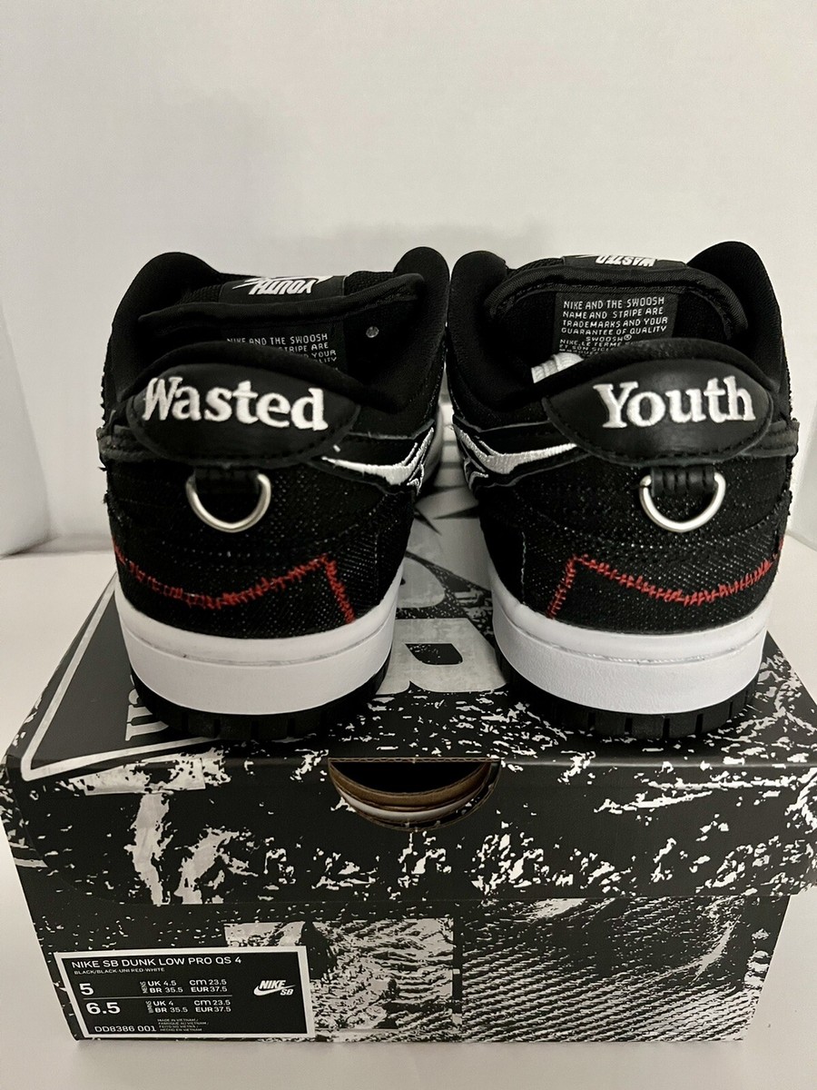 Nike SB Dunk Low Wasted Youth DD8386-001 SPECIAL BOX Mens 5 Nike SB Dunk Low Wasted Youth DD8386-001 SPECIAL BOX Mens 5