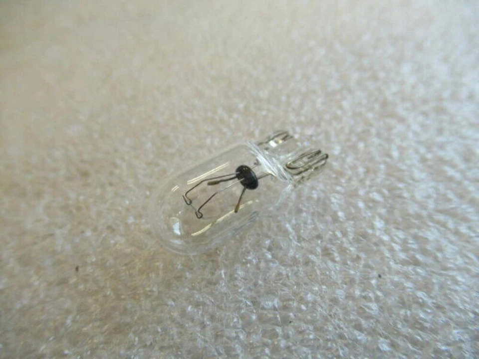 Bombilla marina genuina Yamaha 1989-2017 OEM nueva fábrica piezas de barco cantidad 2 Foto 2 de 4