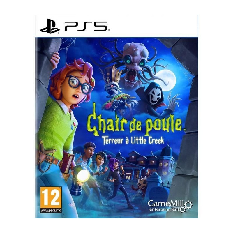 Chair de Poule Terreur à Little Creek jeu PS5 pour vos soirées frissons en famille