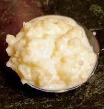ORGANIC MILK KEFIR GRAINS PROBIOTIC LIVE ACTIVE CULTURE One Tbs. Fresh Not Dried