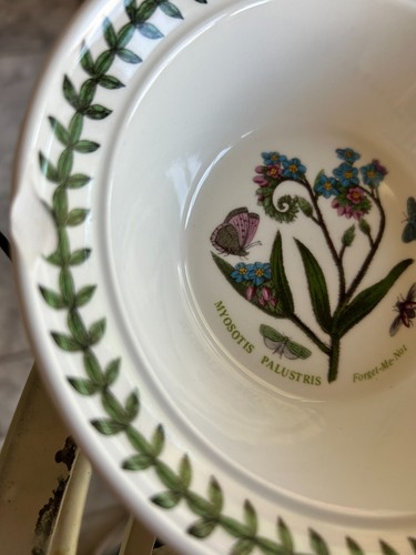 7-Piece Botanic Garden Susan Williams Ellis Portmeirion Soup Bowl Set Pre-Owned - Picture 11 of 11