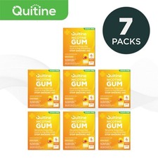 Quitine Nicotine Gum 4mg Traditional Fruit 1680 Pieces 7 bulk boxes