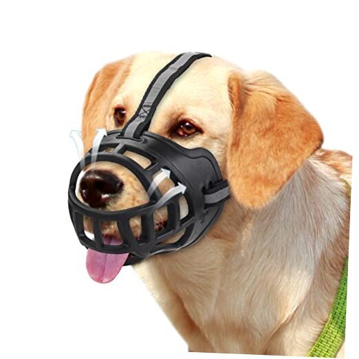 dog muzzle xs