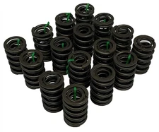 Performance Dual W/Damp Valve Springs .740" Max Lift 8,000 Max RPM Set of 16 