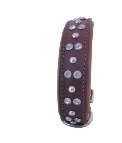 Shwaan Rhinestone Dog Collars Genuine Leather Padded Bling Dog Collar S 11" - 14 - Picture 2 of 9