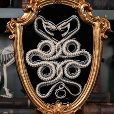 Real Viper Snake Skeleton Taxidermy, Caduceus Symbol on Gothic Baroque Frame
