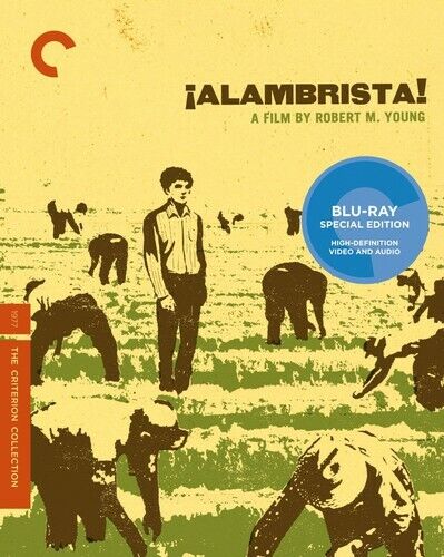 Alambrista! (Criterion Collection) [New Blu-ray] - Picture 1 of 1