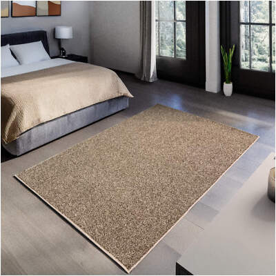 Koeckritz Soft Frieze Multi Brown Area Rug for Living Room, Bedroom, or Any Room